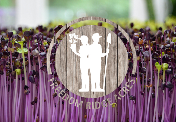 microgreens farm in BC